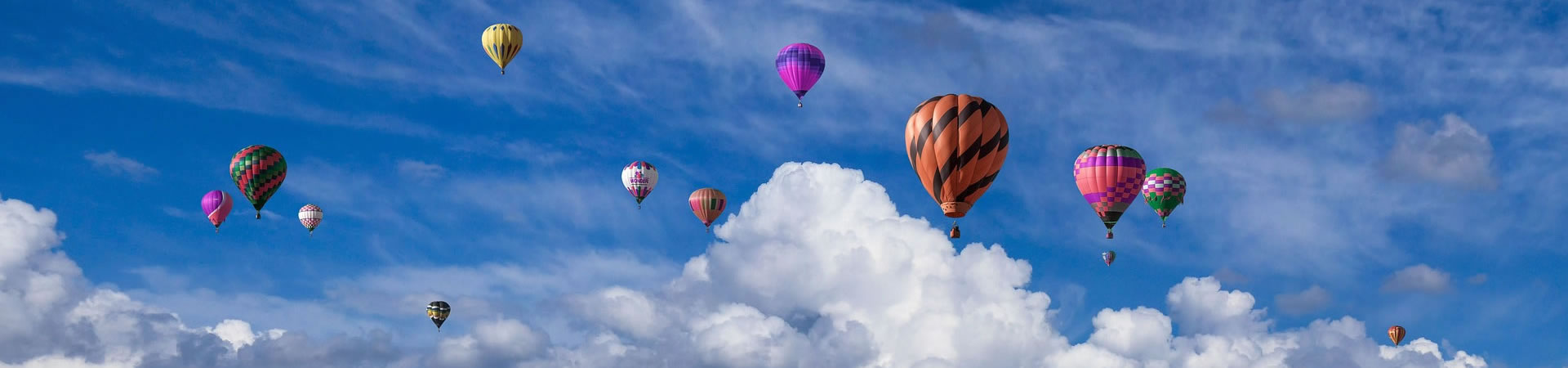 体育赛怎么玩介绍